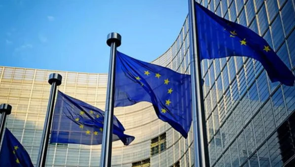EU, 중국에서 철, 비합금 또는 기타 합금강의 열간 압연 코일에 대한{0}첫 반덤핑 일몰 검토 조사 시작